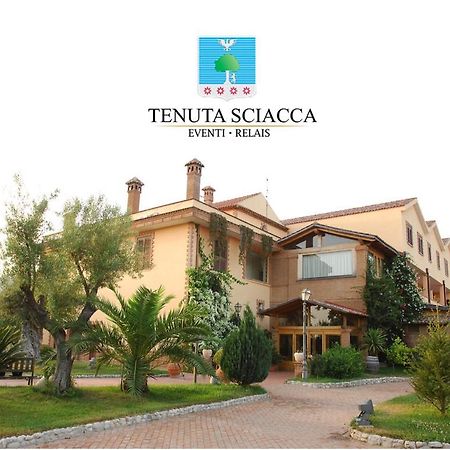 Falciano del Massico Tenuta Sciacca 빌라 외부 사진
