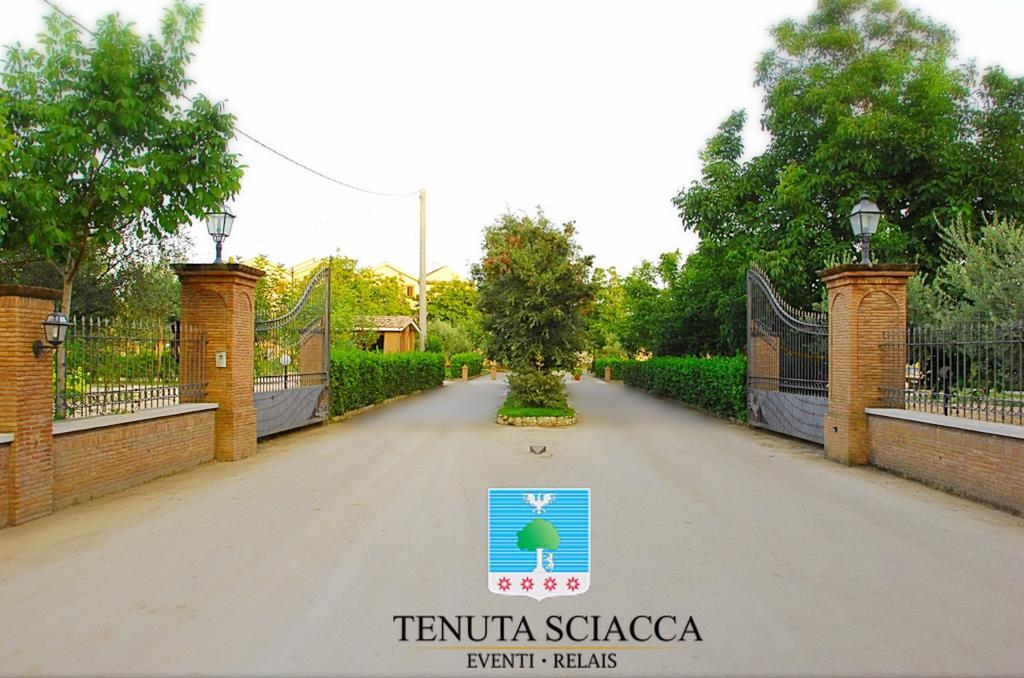 Falciano del Massico Tenuta Sciacca 빌라 외부 사진