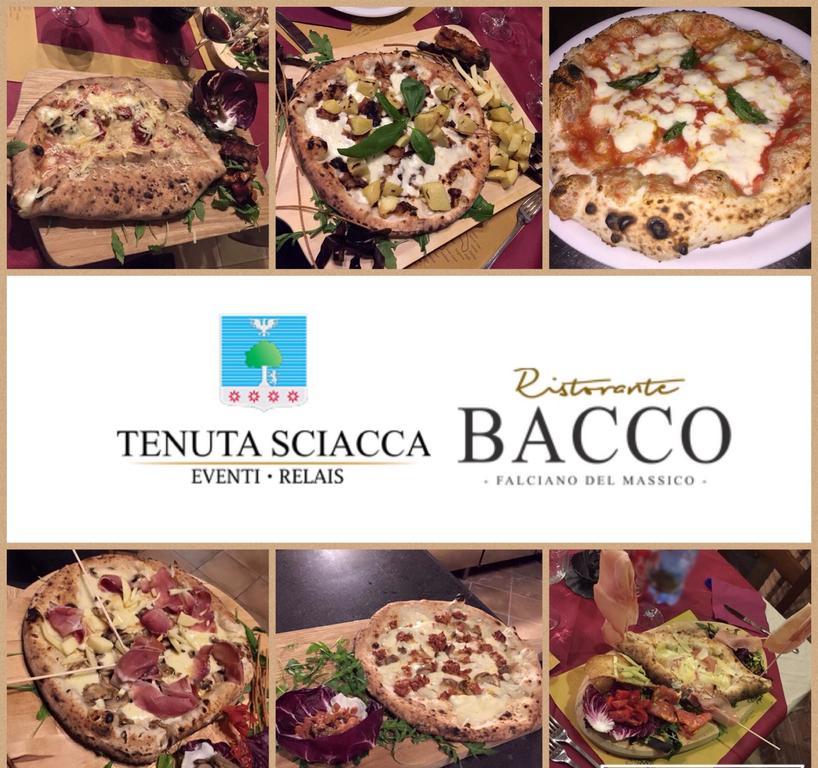 Falciano del Massico Tenuta Sciacca 빌라 외부 사진