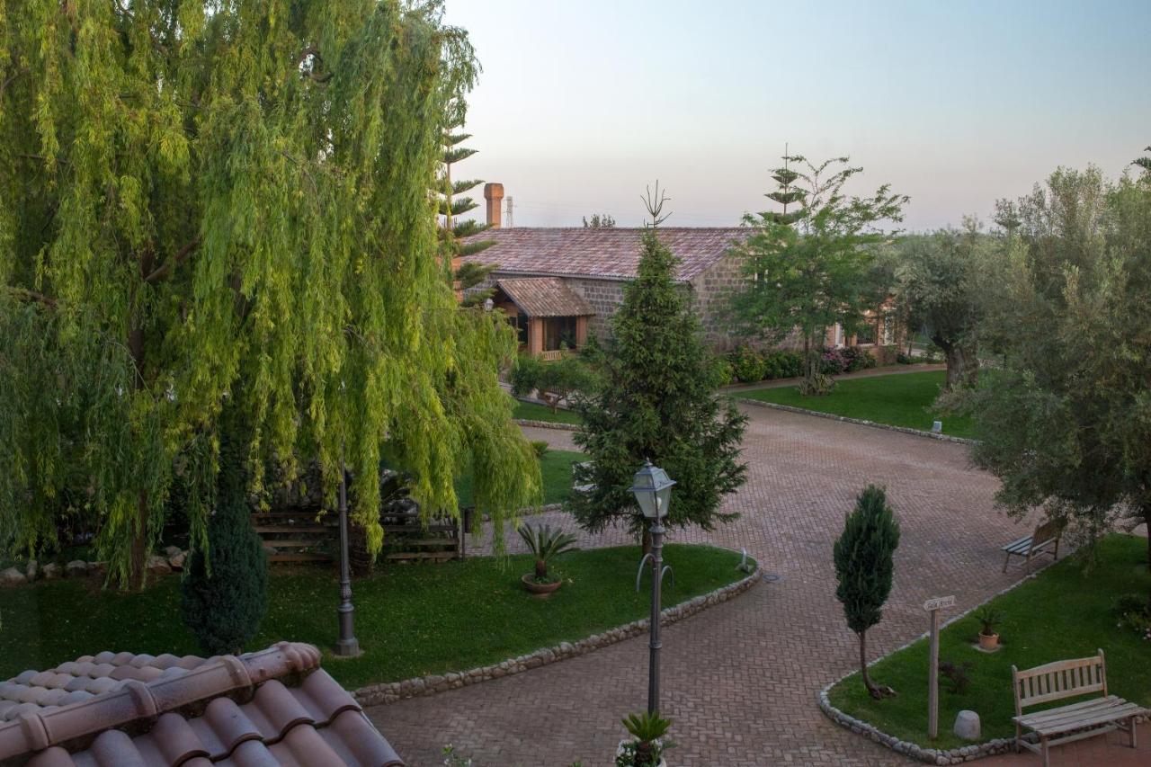 Falciano del Massico Tenuta Sciacca 빌라 외부 사진